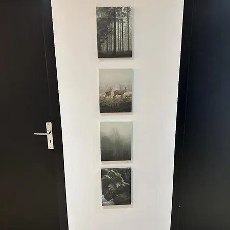 Apartman Le Nid De La Cathedrale Colmar