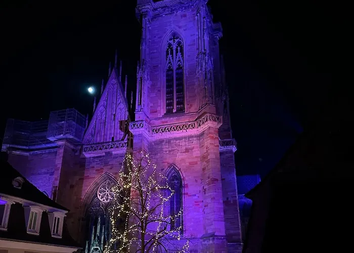 Le Nid De La Cathedrale Apartment