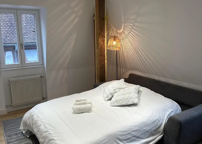 Le Nid De La Cathedrale * Colmar